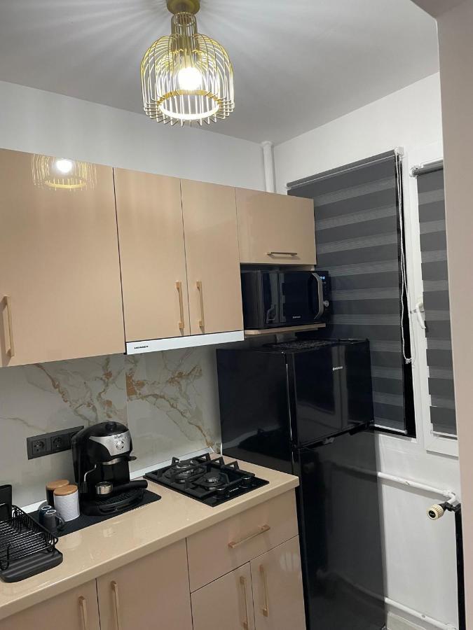 Zen Dristor Sector 3 Apartment *